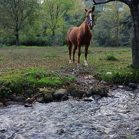 Yurta Aldila Della Luna *