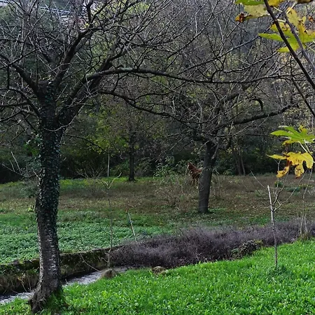 Yurta Aldila Della Luna Quero